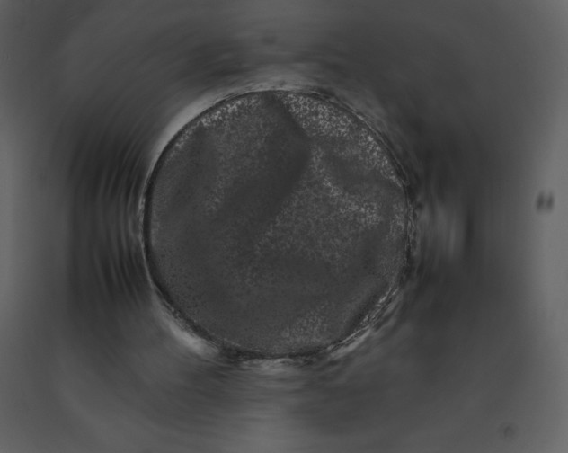 X0000092270100200710051348