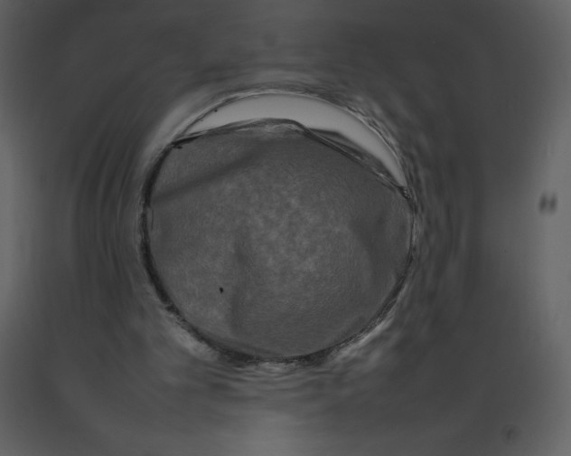 X0000092270101200710051348