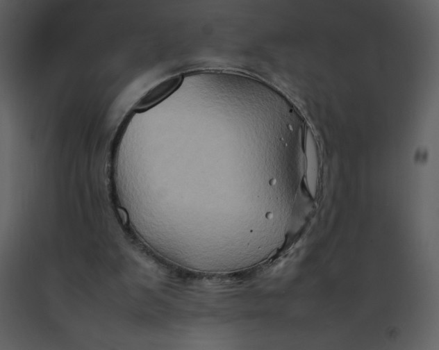 X0000092270103200710051347