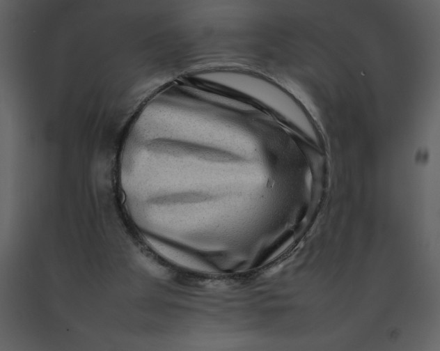 X0000092270105200710051347