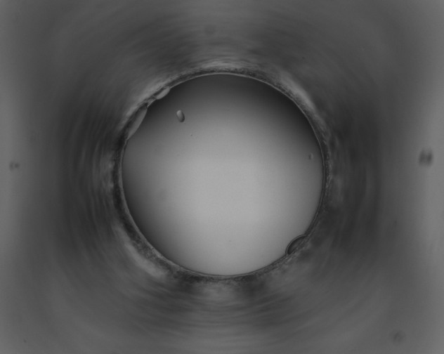 X0000092270106200710051347