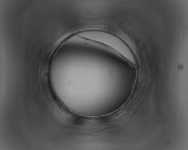 X0000092270107200710051347