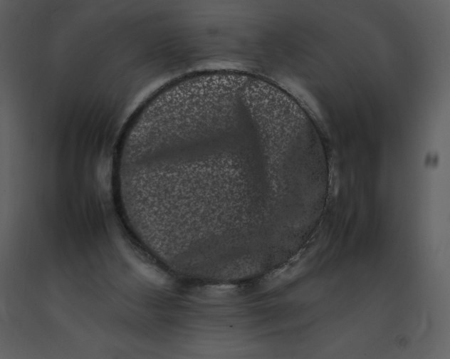 X0000092270108200710051347