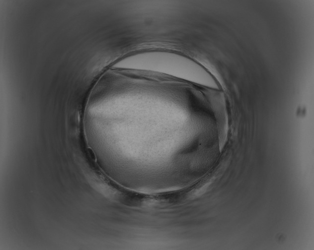 X0000092270109200710051347