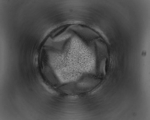 X0000092270110200710051347