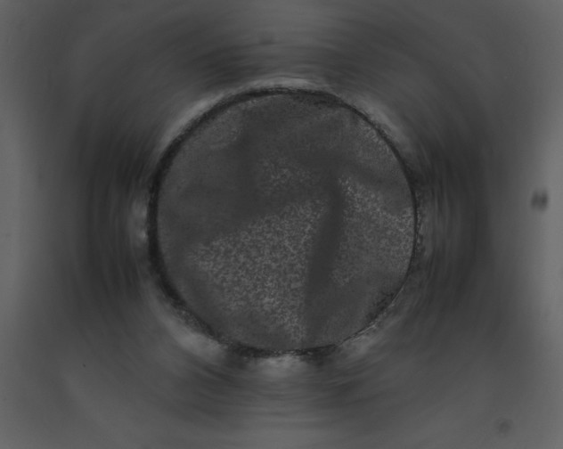 X0000092270112200710051347