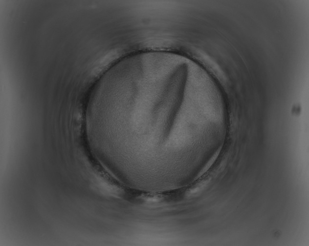 X0000092270113200710051347