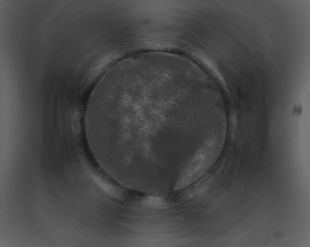 X0000092270114200710051347