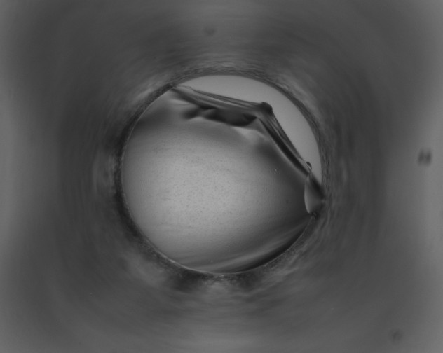 X0000092270115200710051347
