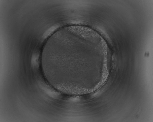 X0000092270116200710051347