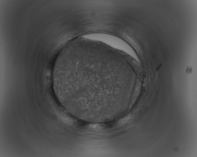 X0000092270117200710051347