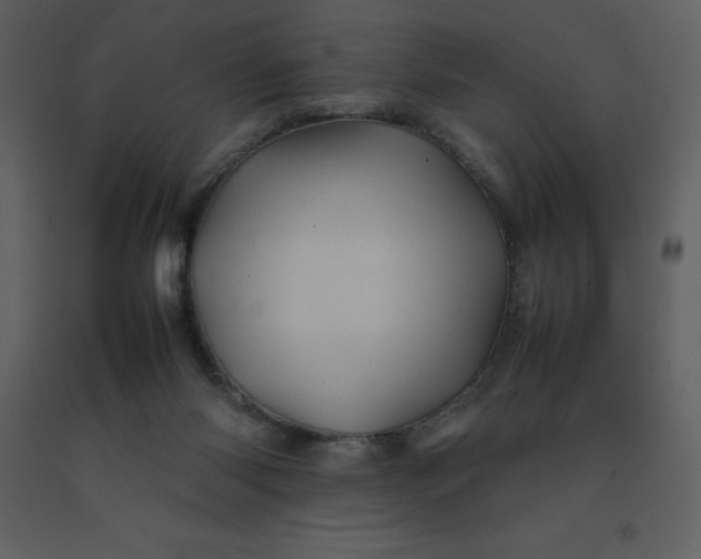 X0000092270118200710051347