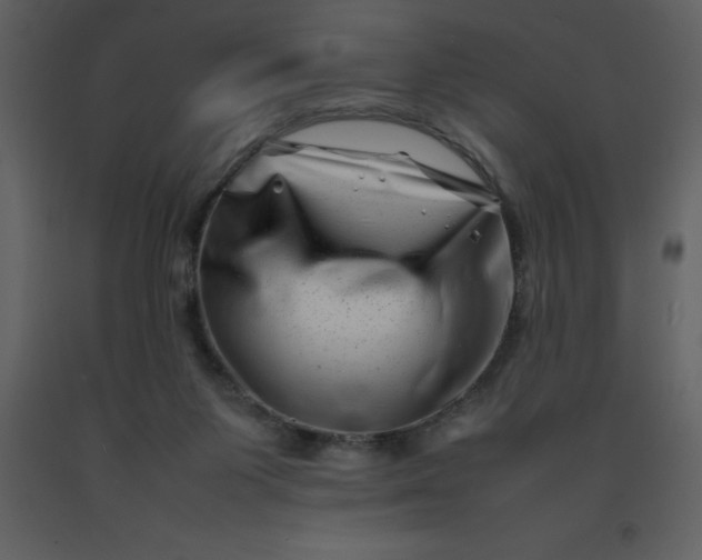 X0000092270119200710051347