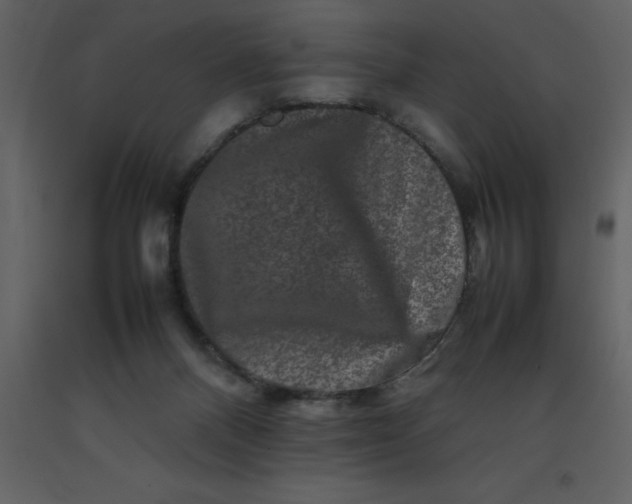 X0000092270120200710051347