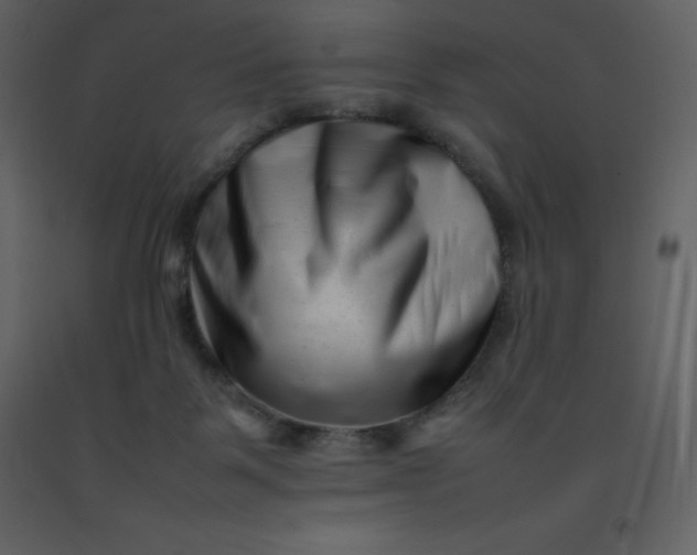 X0000092270123200710051347