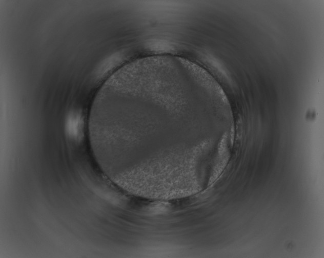 X0000092270124200710051347