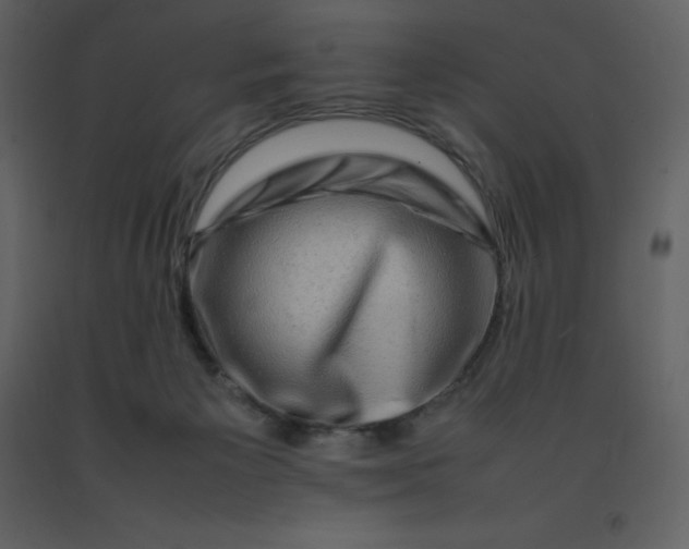 X0000092270125200710051347