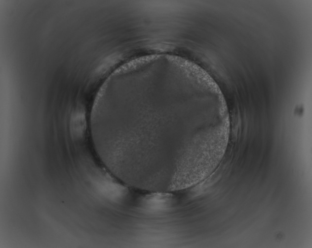 X0000092270128200710051347