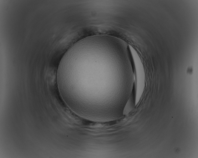 X0000092270129200710051347