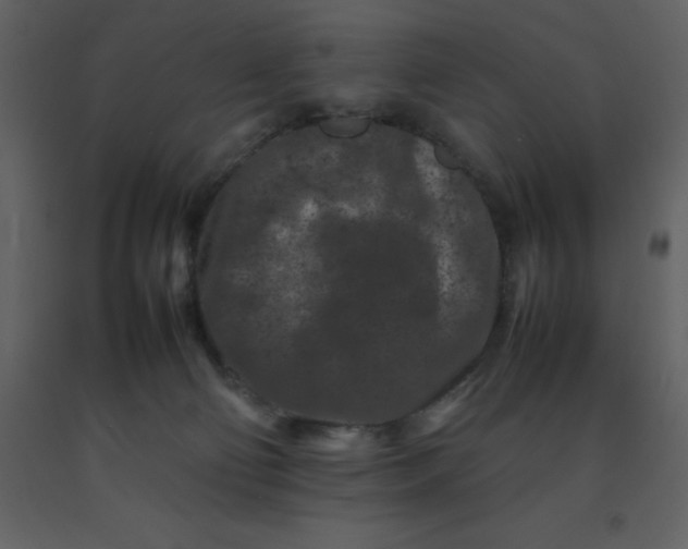X0000092270130200710051347
