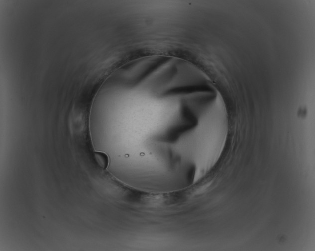 X0000092270131200710051347