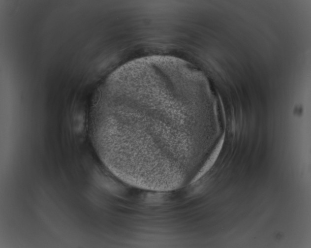 X0000092270134200710051347