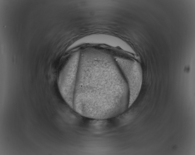 X0000092270135200710051347