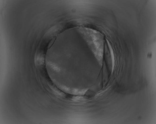 X0000092270137200710051347