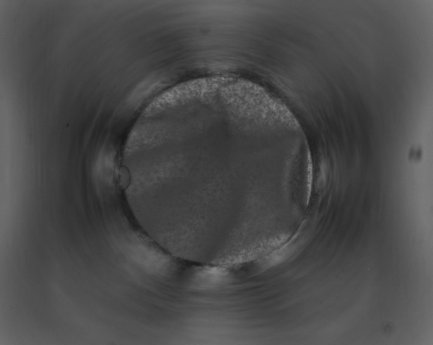 X0000092270140200710051347