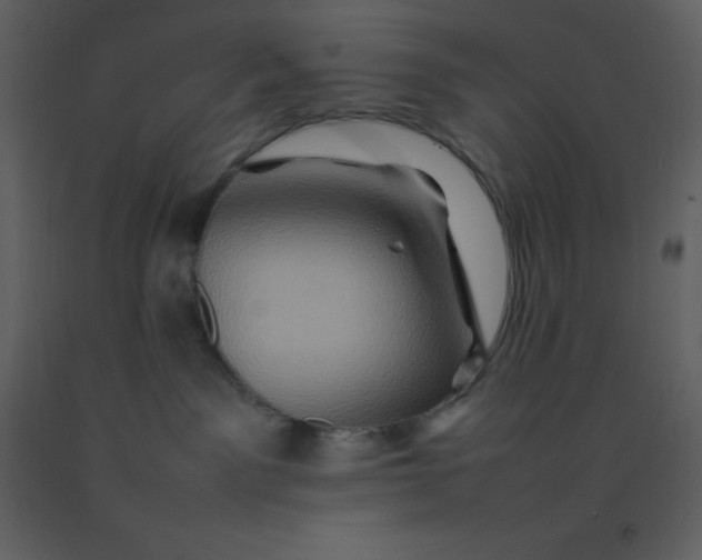 X0000092270141200710051347