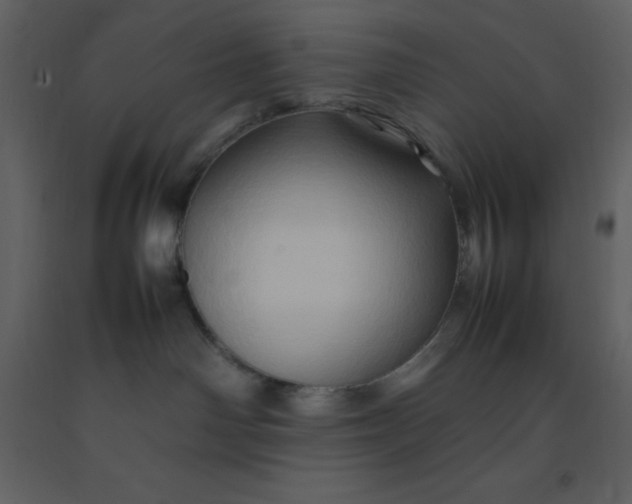 X0000092270142200710051347