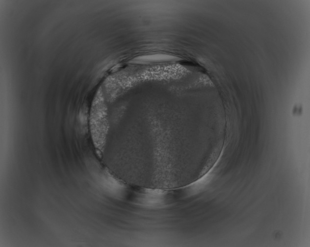 X0000092270144200710051347