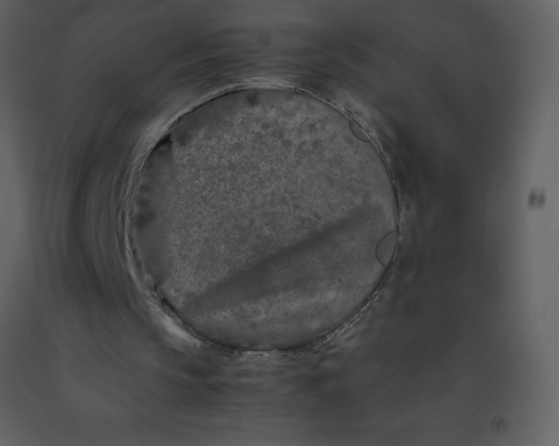 X0000092270145200710051346