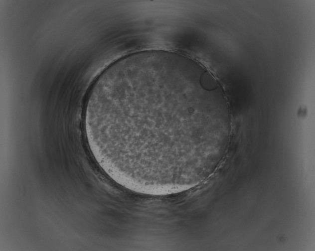 X0000092270146200710051346