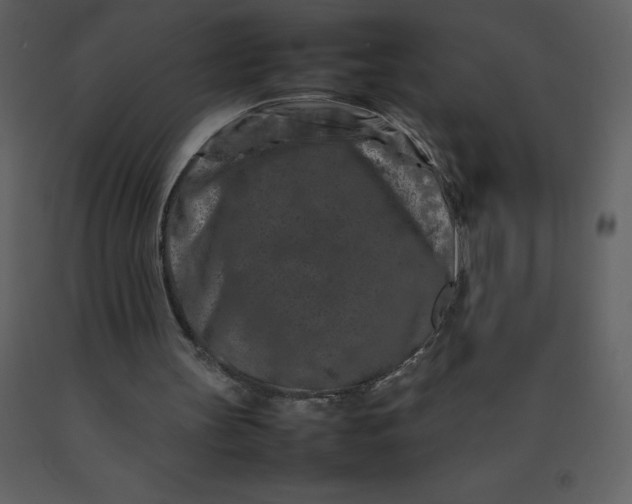 X0000092270147200710051346