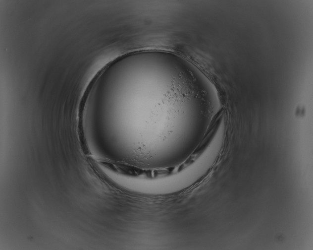 X0000092270148200710051346