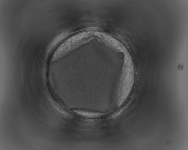 X0000092270149200710051346