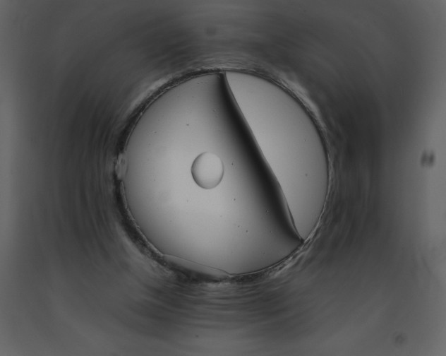 X0000092270154200710051346