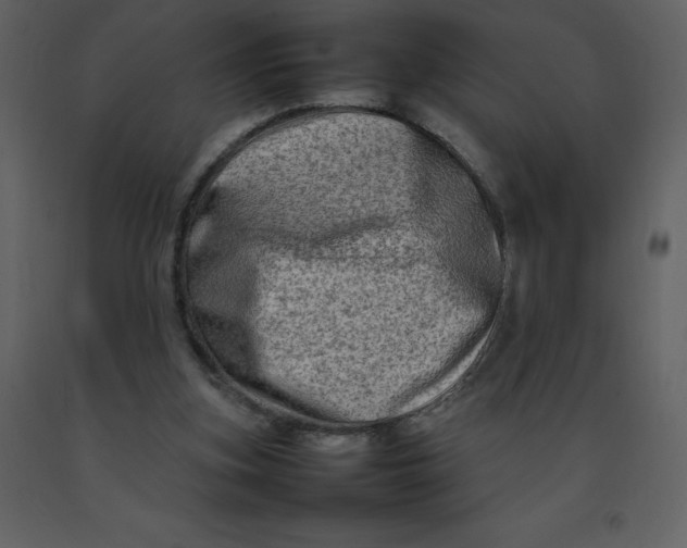 X0000092270155200710051347