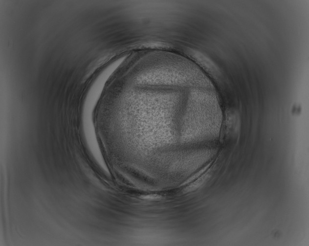 X0000092270158200710051347