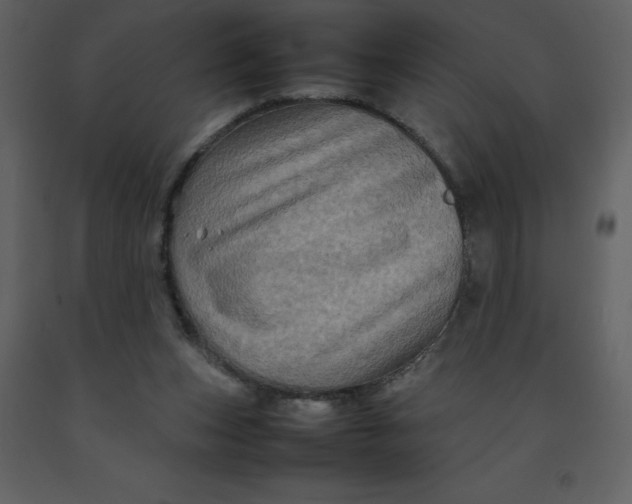 X0000092270159200710051347