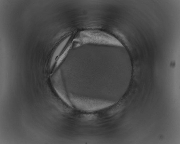 X0000092270161200710051347