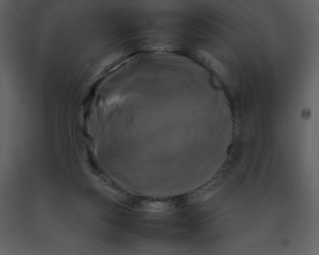 X0000092270163200710051347