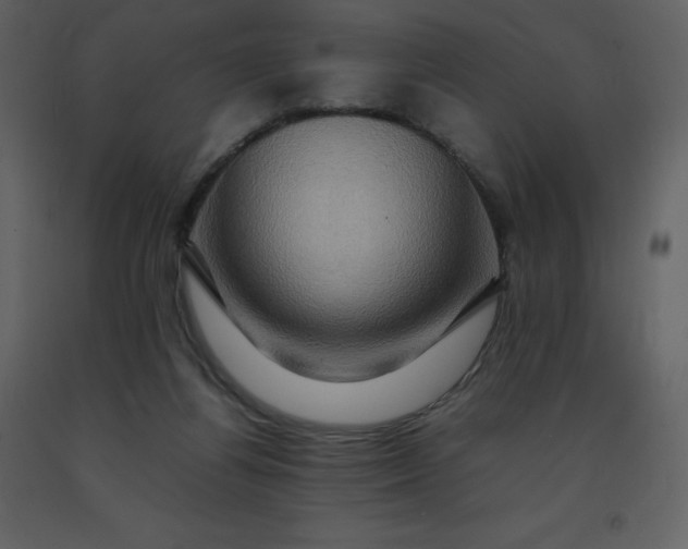 X0000092270164200710051347