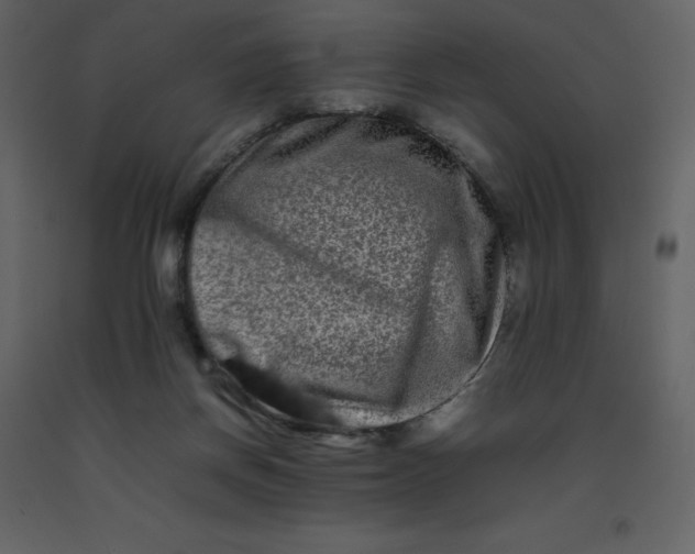 X0000092270166200710051347