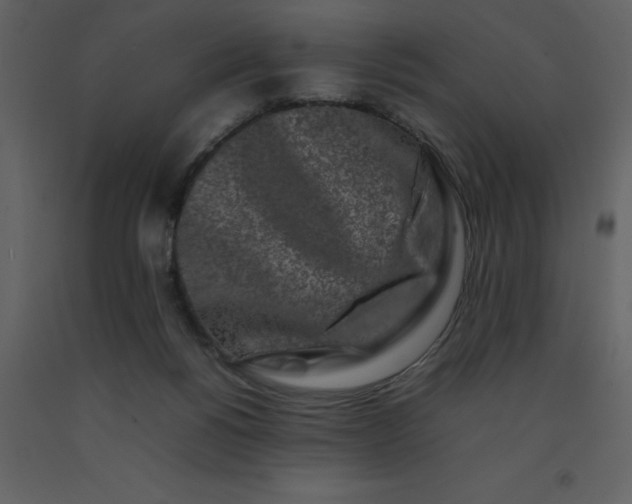 X0000092270168200710051347