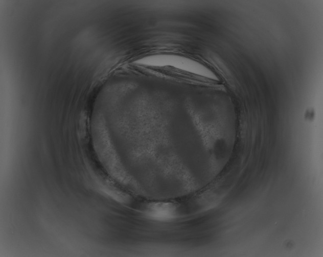 X0000092270169200710051347