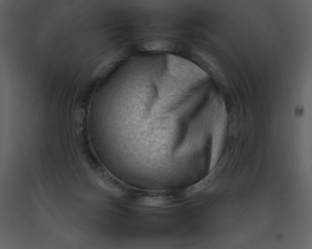 X0000092270171200710051347