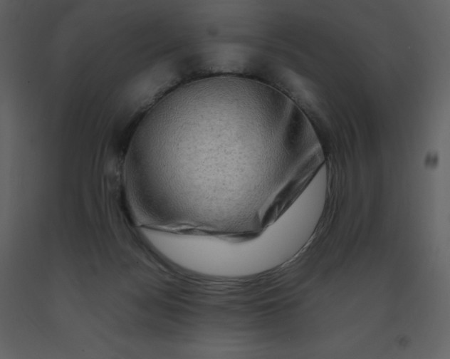 X0000092270172200710051347