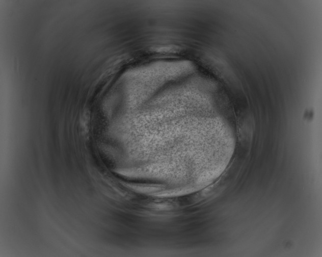 X0000092270175200710051347